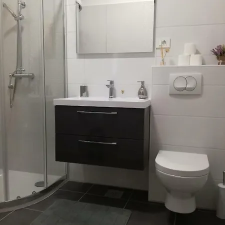 Apartment Ivana *